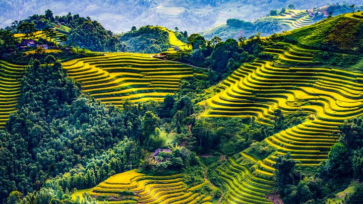 Hotspot Matrix: Biến Nam thần Thiên Long Bát Bộ thành cơ hội marketing đột phá