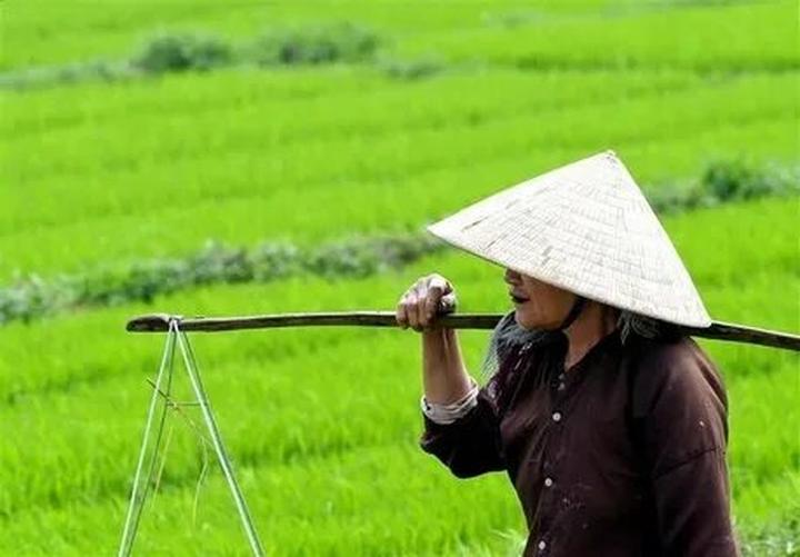 Từ Nếu tôi là cô bé ấy của năm đến chiến lược content: Hotspot Matrix chia sẻ