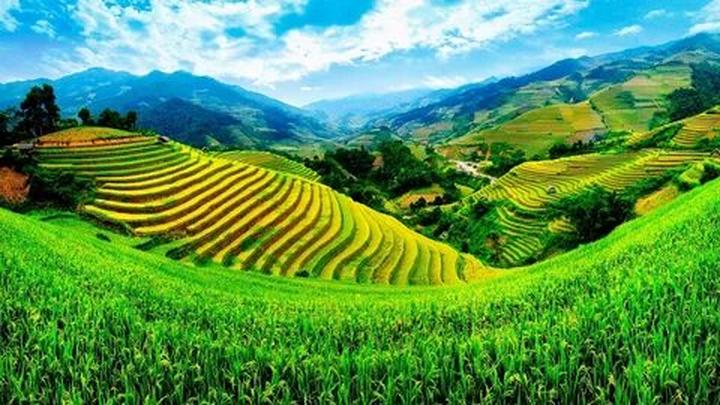 Hotspot Matrix: Biến Sao nam Thiên Long Bát Bộ tụt thành cơ hội marketing đột phá